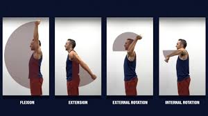 Image result for Shoulder Range of Motion Exercises