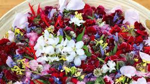The tui and bellbirds love this for good reason. Edible Flowers Stuff Co Nz