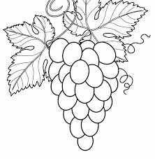 Bagi perkongsian kali ini, admin akan menekankan tentang mengenai gambar mewarna buah anggur ini. Gambar Mewarnai Vegetable Coloring Pages Fruit Coloring Pages Leaf Coloring Page