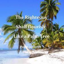 And withdrew with him to a remote place. And I M Insanely Excited To Get My Palm Tree Tattoo This Month Palm Tree Quotes Palm Trees Palm Tree Tattoo