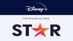 Star will add hundreds of shows and movies to disney plus , including series from abc, fox, 20th century studios, touchstone pictures, espn, and hulu. Disney Plus Star What Is It And How Can I Watch Daily Waffle