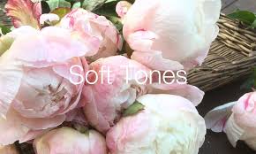 Check spelling or type a new query. Peony Cut Flowers