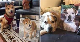 We did not find results for: I Paint Custom Pet Portraits And Seeing Them With Their Paintings Is Definitely The Best Thing 11 Pics Bored Panda