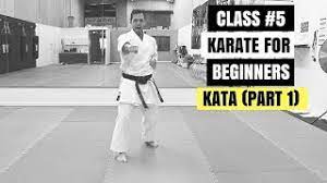 Competitors are judged on such things as strength, deportment and interpretation. Martial Arts For Beginners Lesson 5 Basic Karate Cobra Kai Kata Moves Part 1 Youtube