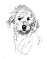 See more ideas about dog art, dog illustration, art. The Fluffy Pup Sketch Hand Drawn Pet Portraits By Artist Genevieve Schlueter Visit Www Gensart Net Pet Portraits Dog Sketch Dog Art