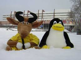 Résultat de recherche d'images pour "리차드스톨만"