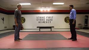 This is a place for discussing all things related to the netflix (previously youtube premium) series cobra kai, the world of the karate kid and its sequels (even. Cobra Kai Karate Kid Spin Off Is A Social Parable For Our Times