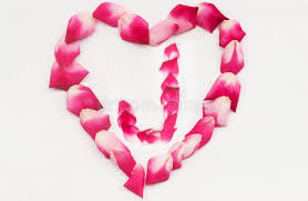 Love Shape Rose Petal Letter J Background Image On White Background Letter J Into Love Shape Stock Photo Image Of Colorful Floral 173939694 I see two dragons forming a heart. love shape rose petal letter j