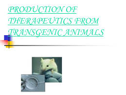 Production Of Therapeutics From Transgenic Animals Ppt Video Online Download
