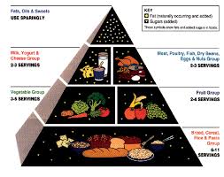 Denise austin on exercise, the f. Educational Tools For Better Eating Origin And Evolution Of Dietary Guidelines In Catalonia