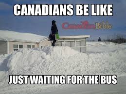 Canadian Problem Just Waiting For The Bus Canada Memes Canada Funny Canadian Humor