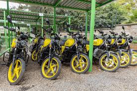 Image result for Dark Yellow Green 2024 Fleet