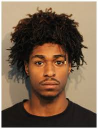 Monday Gunday: Police website to detail accused gun offenders and their  bail amounts