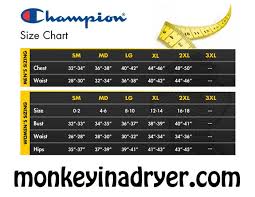 champion size chart custom t shirts from monkey in a dryer