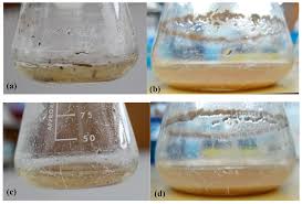 Materials Free Full Text Microbial Degradation Of Epoxy Html The kits generally include several hardener options and instructions on how to create a system for mixing and applying your epoxy resin for the results you.