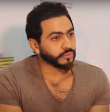 تامر حسني ويكيبيديا