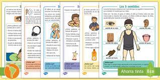 Ficha Sobre Los 5 Sentidos Ideal Para Ninos De 1 Y 2 Grado