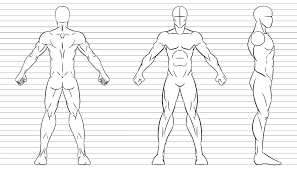 Character Design Base Male Character Reference Sheet Character Model Sheet Character Design Welcome to anime characters database. character design base male character