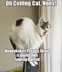 Ceiling cat and the corresponding basement cat (a black cat who lives in the basement) represent good and evil in the lolcat universe, and in. Ceiling Cat