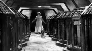 And a rolling stone blurb on the same topic Eyes Without A Face 1960 Directed By Georges Franju Reviews Film Cast Letterboxd