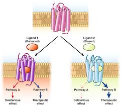 G Protein Coupled Receptors Are Dynamic Regulators Of Digestion And Targets For Digestive Diseases Sciencedirect