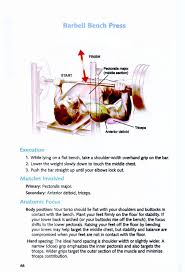 Bodybuilding Anatomy