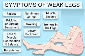 Il faudrait comprendre l'origine de sa grande fatigue pour y remédier. Quelles Sont Les Causes De La Faiblesse Des Jambes Et Comment Les Renforcer Le Plus Doux Haom