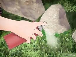 Insecticides containing acephate carbaryl or permethrin are most effective, although they may not actually kill the grasshopper until it's in another yard. How To Get Rid Of Grasshoppers 6 Steps With Pictures Wikihow