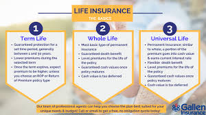 At the end of the term period, premiums will become much higher and, if premiums are not paid, coverage will expire. Life Insurance Policies In Reading Pa Gallen Insurance