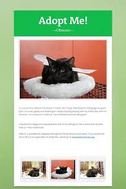 Adopt Me Adoption Cat Adoption Dog Help