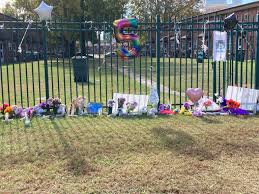 Image result for Green 1990 Norfolk VA City of