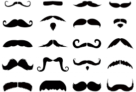 If you know, you know. Movember 28 Interesting Facts About Mustaches List Useless Daily Facts Trivia News Oddities Jokes And More