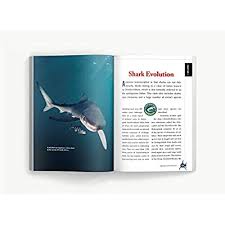Do your fishy facts hold water? Buy The Shark Handbook Third Edition The Essential Guide For Understanding The Sharks Of The World Shark Week Author Ocean Biology Books Great White And Nature Books Gifts For Shark Fans