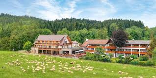 Hotel Gruner Wald In Freudenstadt Lauterbach Im Schwarzwald Hotel Europe Hotels Hotel Spa