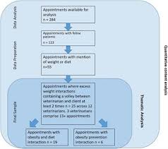 frontiers feline obesity in veterinary medicine insights