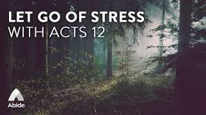 Free download the new christian bedtime stories app with excellent christian bible stories available for android devices. Abide Guided Bible Story Sleep Talk Down Let Go Of Stress Anxiety Fall Asleep To Acts 12 Youtube