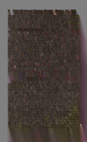 Image result for Laurembergia tetrandra