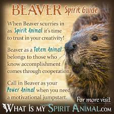 Merci à ghiura felicia pour le cahier. Beaver Symbolism Meaning Spirit Totem Power Animal