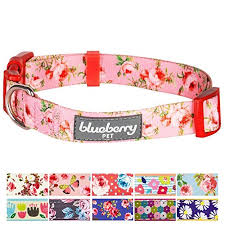 Details About Dog Cat Pet Neck Collar Ideal For Small Dogs Trendy Floral Print Comfort Fit