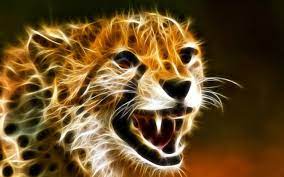 Choose from hundreds of free 4k backgrounds. Cool Animal Wallpapers Top Free Cool Animal Backgrounds Wallpaperaccess