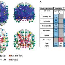 Autism spectrum disorders (asd) are developmental disorders that begin in early childhood, persist throughout adulthood, and affect three crucial areas of development: Pdf Characteristics Of Brains In Autism Spectrum Disorder Structure Function And Connectivity Across The Lifespan