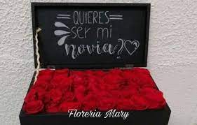 Descargar stickers de ¿quieres ser mi novia? Quieres Ser Mi Novia Startseite Facebook