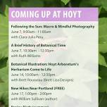 Botanical Illustration: Hoyt’s Herbarium Collection Comes To Life