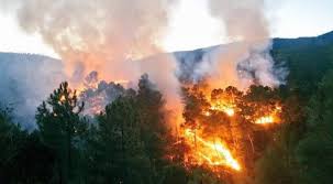Horas más tarde, durante la madrugada de este jueves, el pequeño armando de jesús de cuatro años también falleció. Se Registra Un Fuerte Incendio En Santa Maria Penoles Etla 19 28 H Adn Agencia Digital De Noticias Sureste