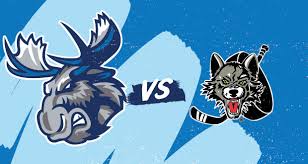 Moose Vs Wolves Bell Mts Place Bell Mts Place