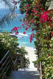 Panoramio Photo Of Table Rock Beach Stairs Beach Stairs Laguna Beach Places To Travel