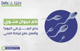 عدد الحيوانات المنوية التي ينتجها الرجل في اليوم - زيادة السائل المنوي