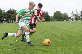 View stats (appearances, goals, cards follow player profiles (e.g. Yeovil Town F C On Twitter Paulius Golubickas Becomes The Second Ytfcacademy Player To Join The First Team This Season Ytfc The Attacker Will Wear Number 2 9 Https T Co Tyv15afwcf