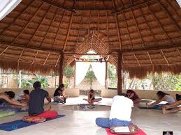 Spend free time relaxing on the beach and feast on a lunch buffet accompanied by an open bar. 6 Day Ayahuasca Retreat In Cancun Tripaneer Com