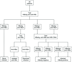 New information, based on the detection in serum of hbv markers has allowed new insight into the behavior of the virus in acute and chronic infection. Algorithm For Hepatitis B Serology Testing Anti Hbc Antibody To Download Scientific Diagram
